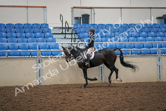 2019 Morgan Horse Show - Aug 30, 2019 - 23411