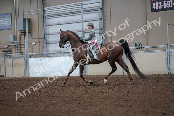 2019 Morgan Horse Show - Aug 30, 2019 - 18277