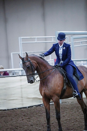 Spring Fling - Saturday - April 20, 2019  -  00851