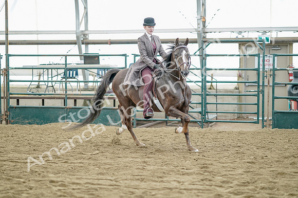 July 21, 2019 - 12261