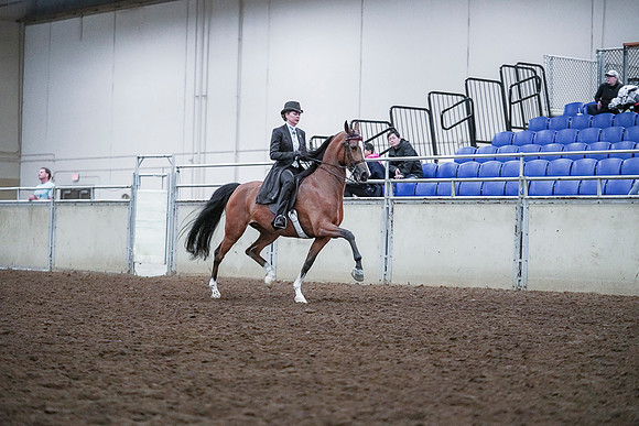 Spring Fling - Saturday - April 20, 2019  -  00800