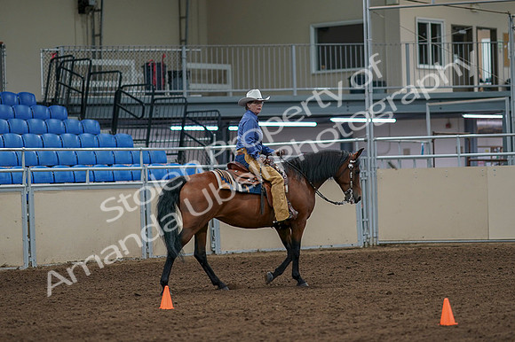 2020 - AB Morgan Horse - Fri, Sept 04 - 00293