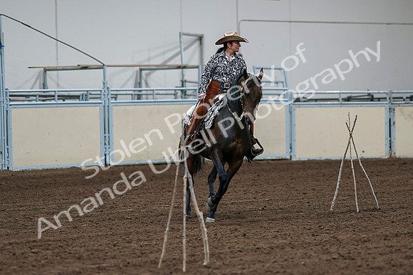 2020 - AB Morgan Horse - Fri, Sept 04 - 00342