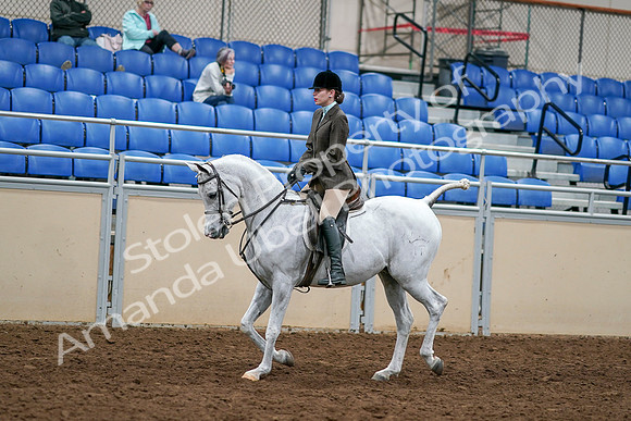 2020 - AB Morgan Horse - Sat, Sept 05 - 14440