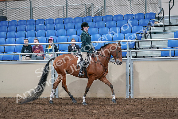 2020 - AB Morgan Horse - Sat, Sept 05 - 05185