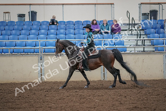 2019 Morgan Horse Show - Aug 30, 2019 - 26096