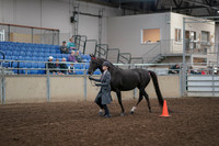 2019 Morgan Horse Show - Aug 31, 2019 - 02107