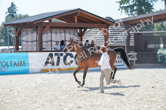 2024 - WCB - July 18 - 02844