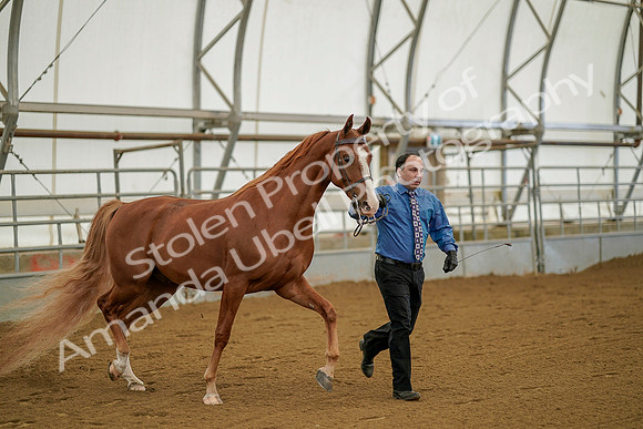 July 19, 2019 - 891