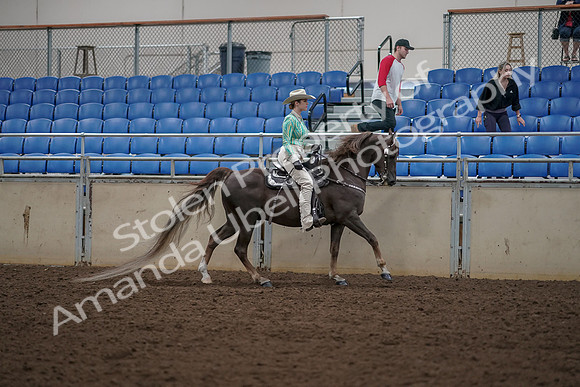 2019 Morgan Horse Show - Aug 30, 2019 - 26155
