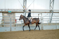 Class 109 - All Breed Hunter Pleasure - Stake