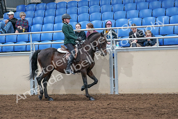 2020 - AB Morgan Horse - Sat, Sept 05 - 05158