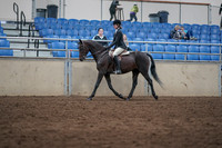 2019 Morgan Horse Show - Sept 01, 2019 - 09012