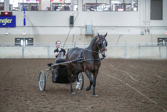 Spring Fling - Saturday - April 20, 2019  -  00335