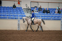 2020 - AB Morgan Horse - Fri, Sept 04 - 10340