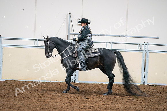 2020 - AB Morgan Horse - Sat, Sept 05 - 08912