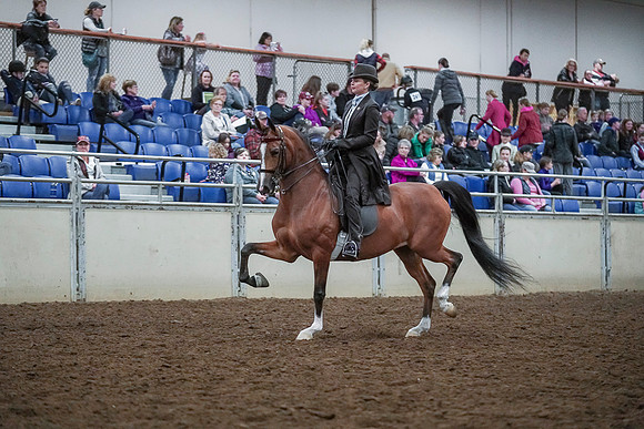 Spring Fling - Saturday - April 20, 2019  -  00608