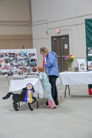 2019 Morgan Horse Show - Sept 01, 2019 - 05900