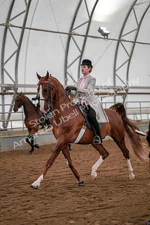 July 19, 2019 - 10255