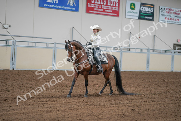 2020 - AB Morgan Horse - Sat, Sept 05 - 09027
