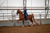 Class 043 - ASB English Three-Gaited Show Pleasure - Open