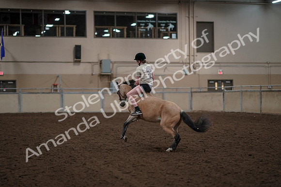 2019 Morgan Horse Show - Aug 30, 2019 - 31259