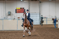 2020 - AB Morgan Horse - Sat, Sept 05 - 11357