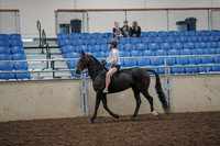 2019 Morgan Horse Show - Aug 30, 2019 - 31033