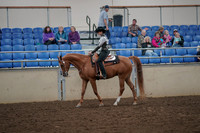 2019 Morgan Horse Show - Aug 30, 2019 - 25868