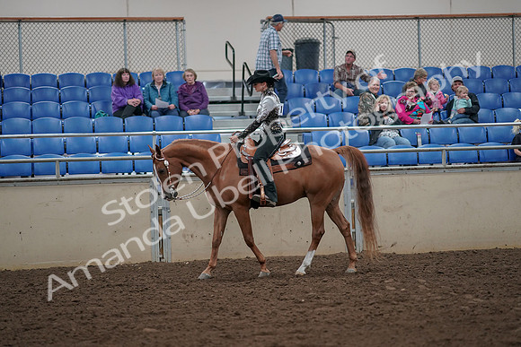 2019 Morgan Horse Show - Aug 30, 2019 - 25868