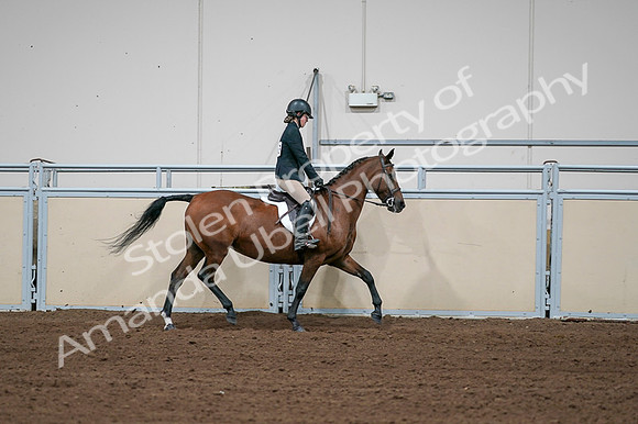 2020 - AB Morgan Horse - Fri, Sept 04 - 02136