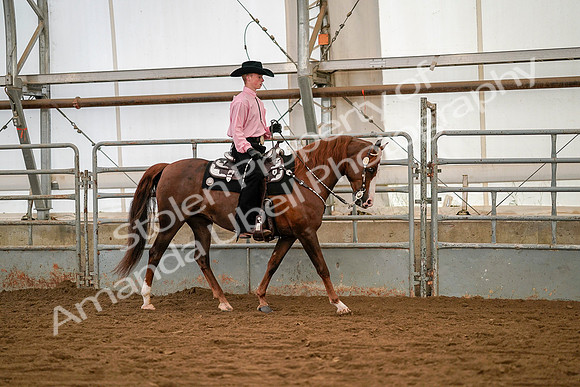 July 19, 2019 - 10146