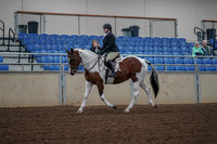 2019 Morgan Horse Show - Aug 30, 2019 - 14859