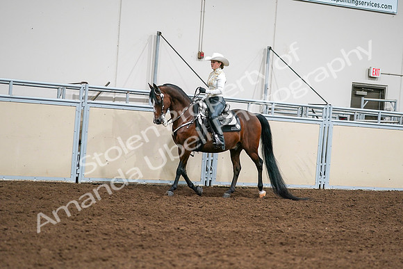 2020 - AB Morgan Horse - Sat, Sept 05 - 08917