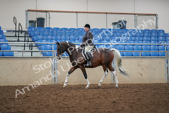 2019 Morgan Horse Show - Aug 30, 2019 - 22228