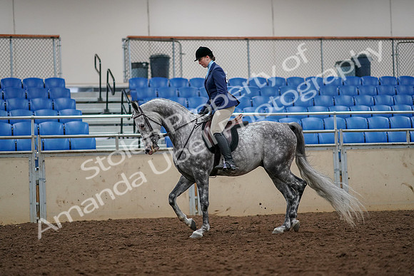 2019 Morgan Horse Show - Aug 30, 2019 - 22272
