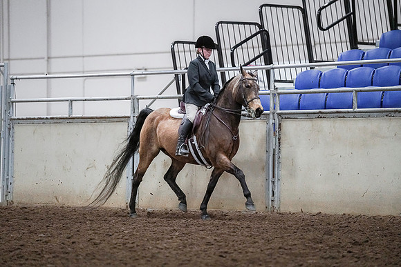 Spring Fling - Saturday - April 20, 2019  -  03791