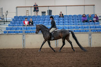 2019 Morgan Horse Show - Aug 30, 2019 - 27205