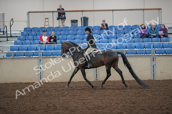 2019 Morgan Horse Show - Aug 30, 2019 - 27205