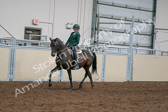 2020 - AB Morgan Horse - Sat, Sept 05 - 05028
