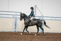 2020 - AB Morgan Horse - Sat, Sept 05 - 09063