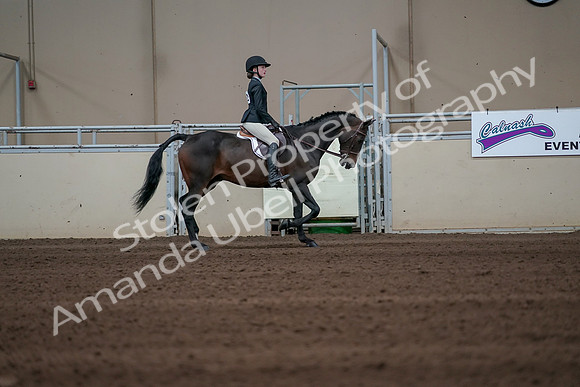 2019 Morgan Horse Show - Sept 01, 2019 - 03866