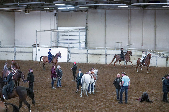 Spring Fling - Saturday - April 20, 2019  -  00344