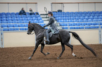2020 - AB Morgan Horse - Fri, Sept 04 - 05342