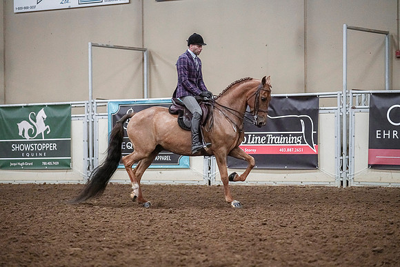 Spring Fling - Saturday - April 20, 2019  -  04631