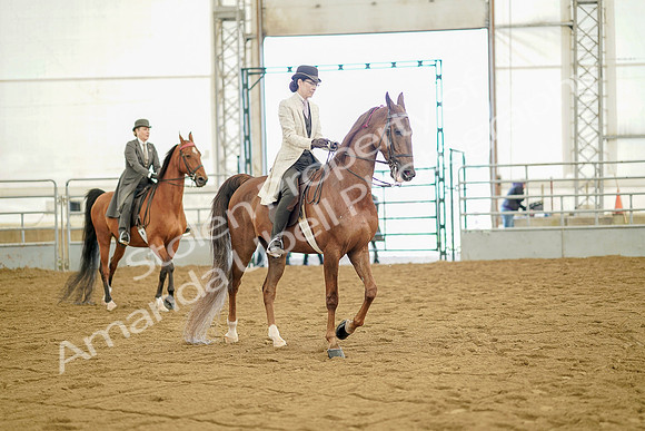 July 20, 2019 - 07907