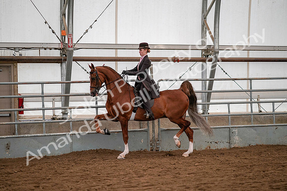 July 19, 2019 - 10340