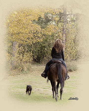 other breeds - 014
