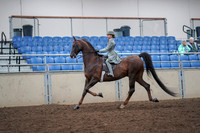 2019 Morgan Horse Show - Aug 30, 2019 - 17784