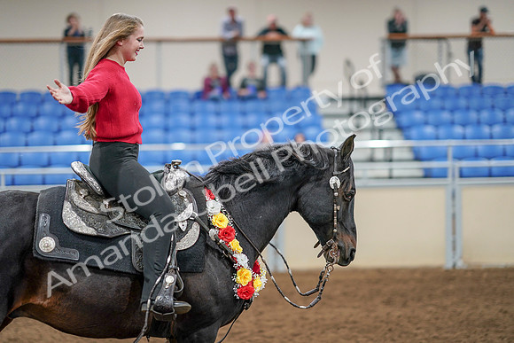 2020 - AB Morgan Horse - Sat, Sept 05 - 10571